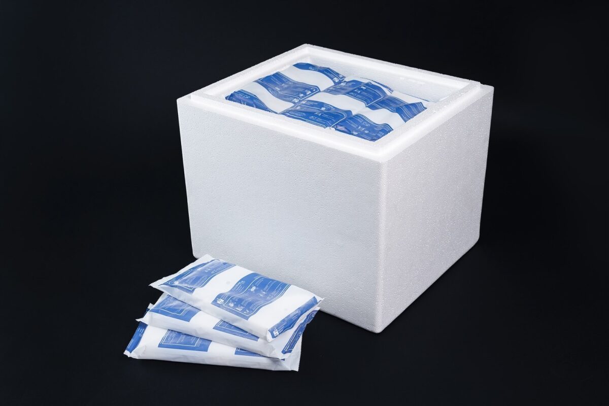 10 kg Trockeneis Scheiben verpackt (Coolbags)